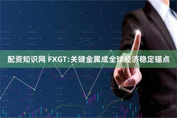 配资知识网 FXGT:关键金属成全球经济稳定锚点